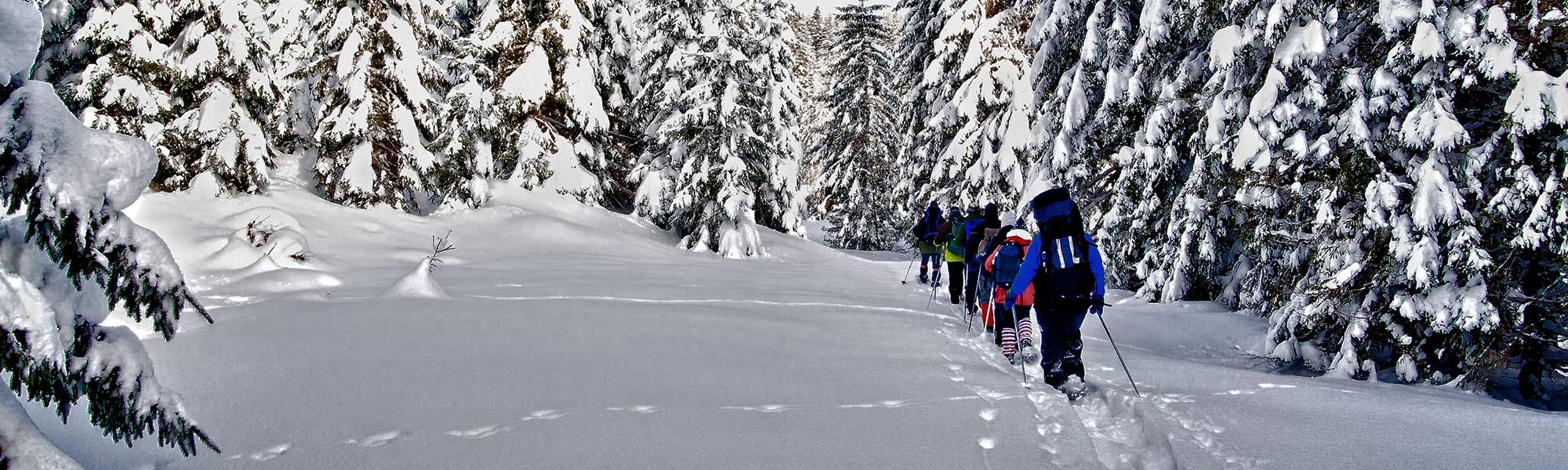 A family snowshoeing in Canmore